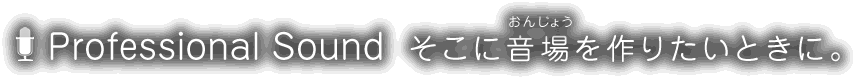 Professional Sound そこに音場（おんじょう）を作りたいときに。