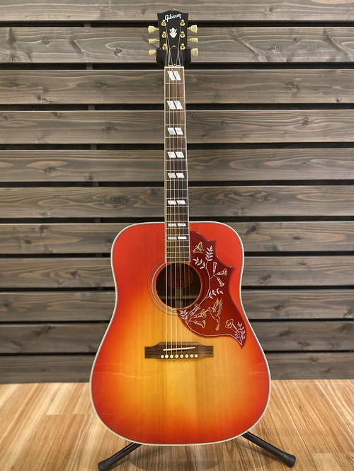 【 Gibson 】Hummingbird Limited